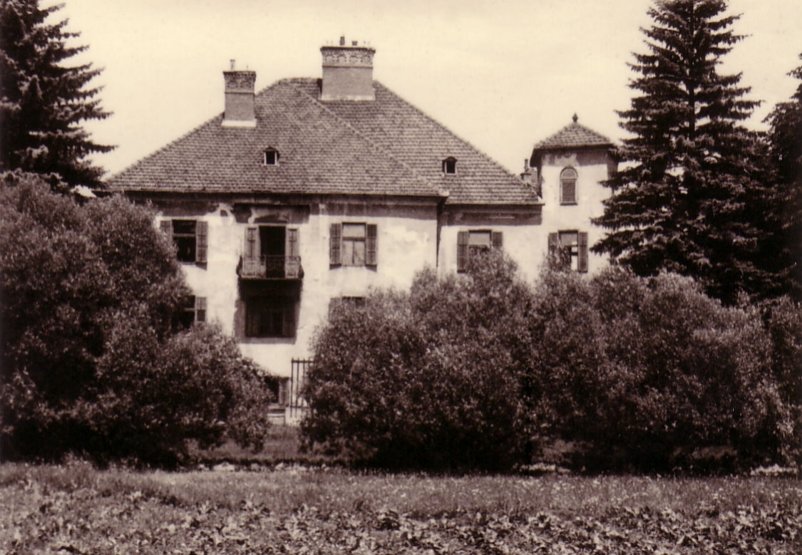 Stübichhofen vom Felde aus Sommer 1953